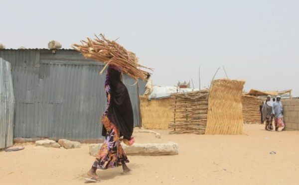 Dans le nord-est du Nigeria, un exode massif et plus de 20 morts dans une série d’attaques djihadistes