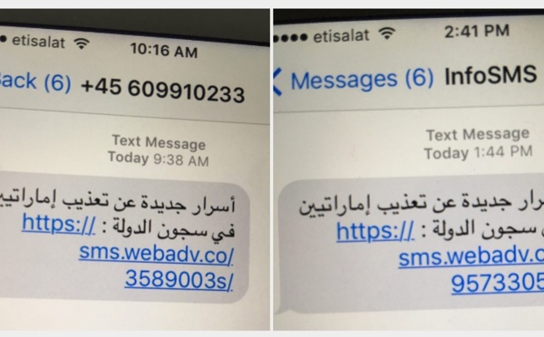 Pegasus, logiciel utilisé pour espionner des journalistes et des militants, démasqué