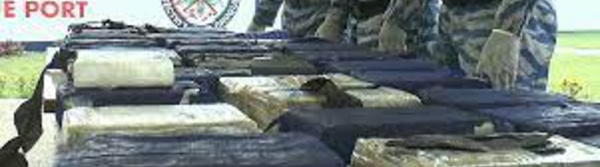 Côte d’Ivoire : sur la piste des narcotrafiquants entre Abidjan et San Pedro