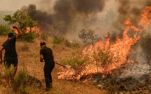 Algérie - 26 personnes périssent dans des incendies de forêt