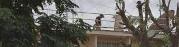 Burkina Faso : la présence militaire française en sursis