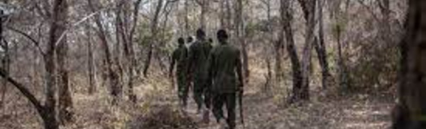 Au Bénin, la lutte antidjihadiste fait craindre une stigmatisation accrue des Peuls