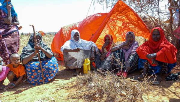 Éthiopie : 100.000 réfugiés somaliens nouvellement arrivés reçoivent une aide urgente (HCR)