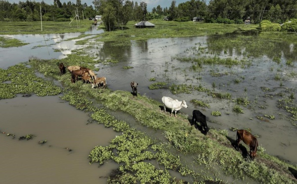 L’Afrique de l'Est dévastée par des inondations