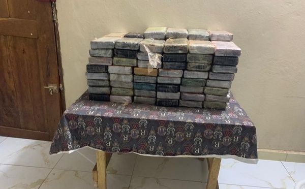 SENEGAL - 115 kilos de cocaïne d’une valeur de 9,2 milliards FCFA saisis dans le Sud pays