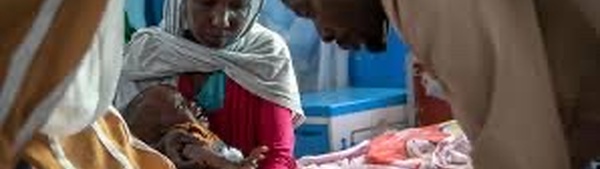 Au Soudan, 177 000 civils pris au piège à El-Fasher au milieu des massacres perpétrés par les Forces de soutien rapide