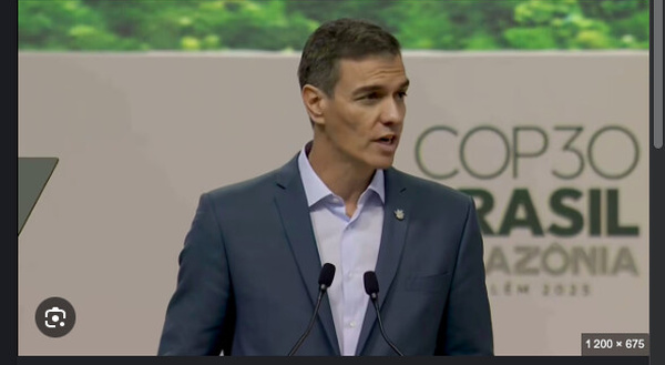 "Le changement climatique a tué plus de 20 000 personnes en Espagne en cinq ans", dit Pedro Sánchez