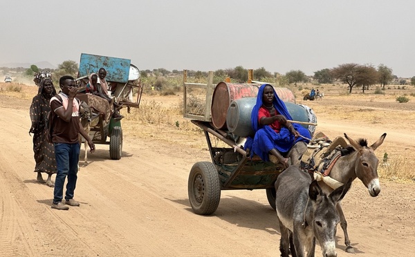 Guerre au Soudan - Les combats et les déplacements s’intensifient au Kordofan