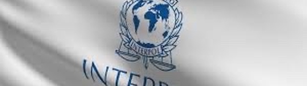 Cybercriminalité en Afrique : 651 arrestations après une vaste opération, annonce Interpol