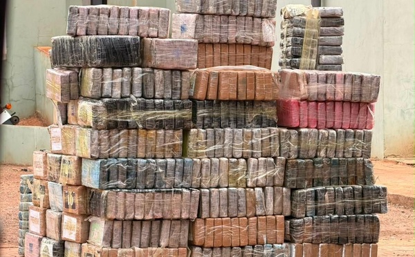 Trafic international de drogues : La Douane sénégalaise saisit 970,6 kg de cocaïne pure dans le Sud-est
