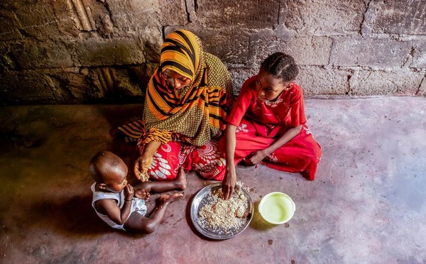 7,8 % de la population mondiale a souffert de la faim en 2025 (FAO)
