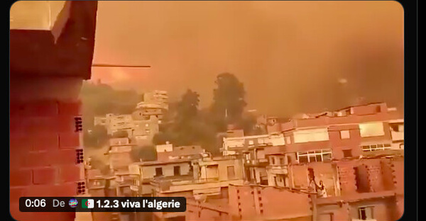 Algérie - Deuil national de trois jours après le lourd bilan des incendies