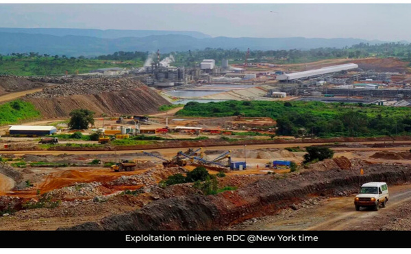 AFRIQUE CENTRALE - Après les mines, la Chine à la conquête  des chaînes de valeur